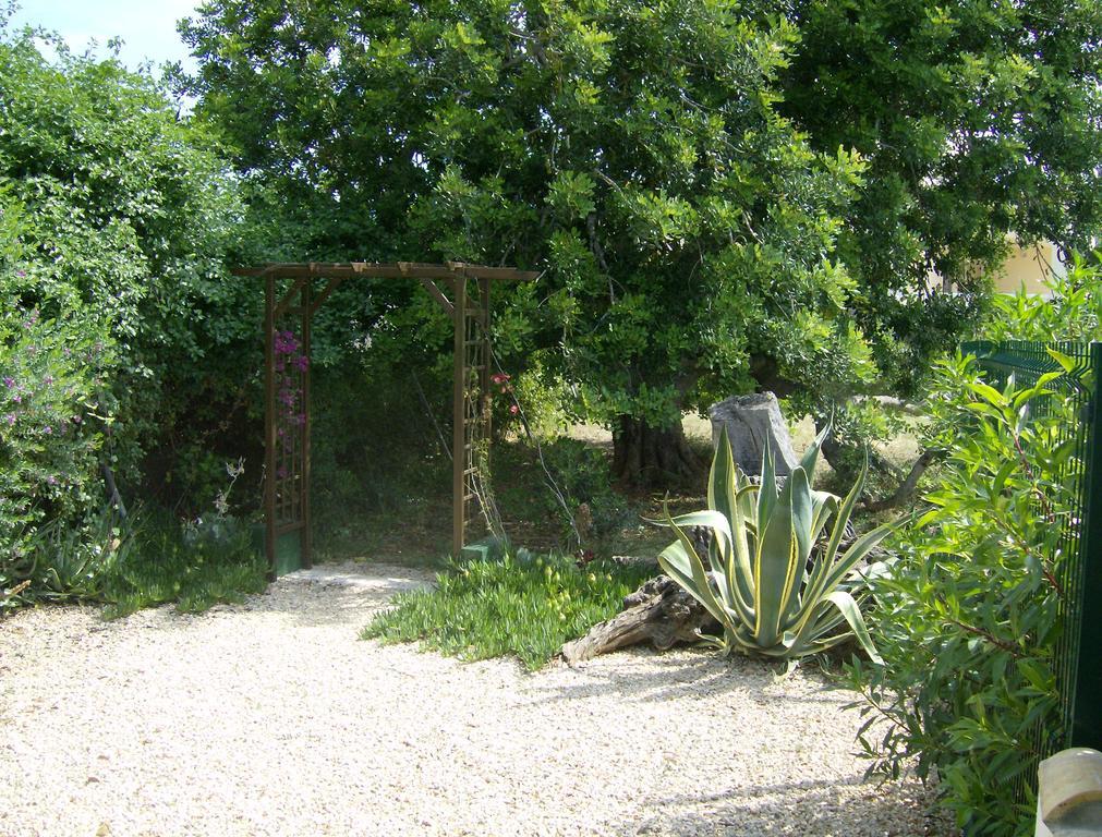 Finca Gamundi L'Ampolla Luaran gambar