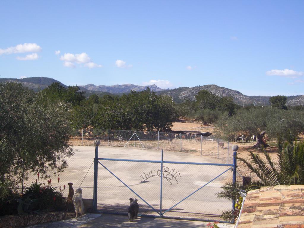 Finca Gamundi L'Ampolla Luaran gambar